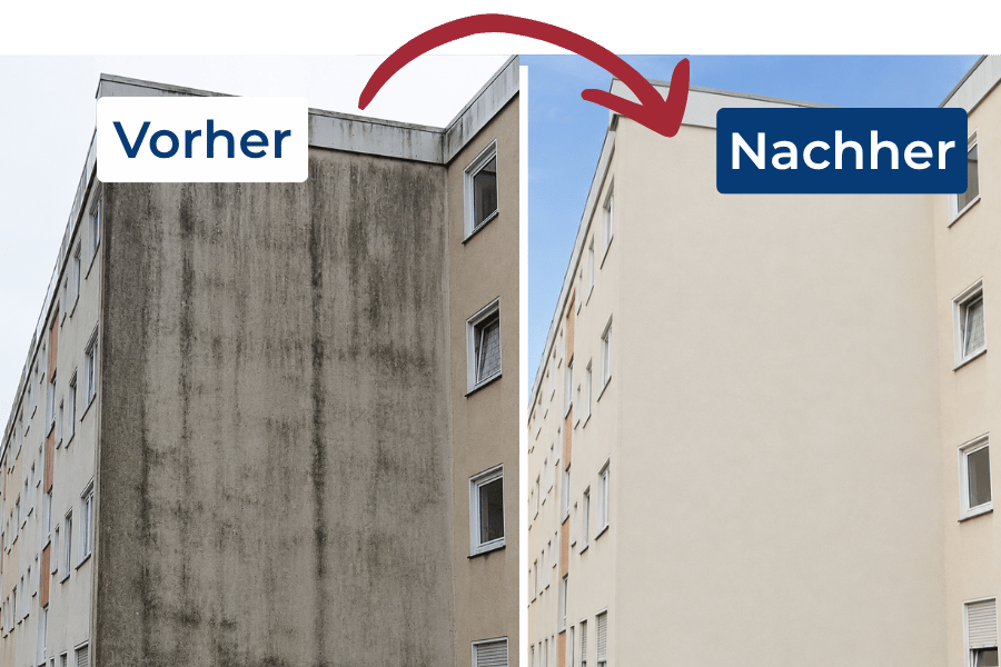 Platzhalter-Einblick